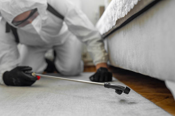 Professional Ant Control technician working in Bogota, NJ