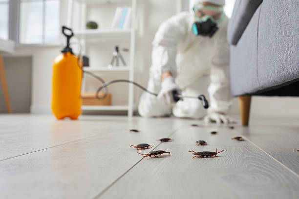 Trusted Cockroach Control service in Bogota, NJ - Nex Pest Control