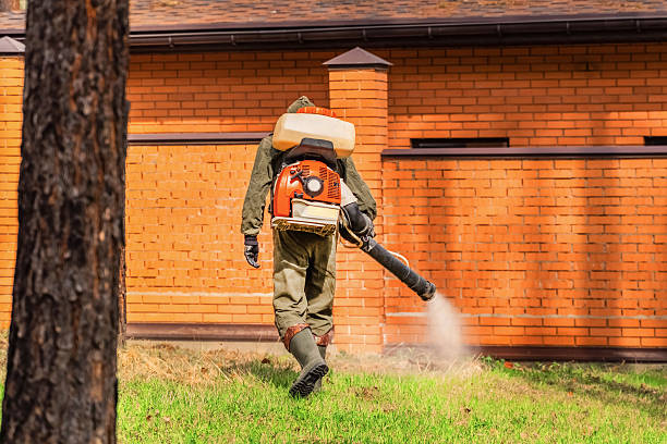 Trusted Ant Control service in Bogota, NJ - Nex Pest Control